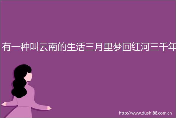 有一种叫云南的生活三月里梦回红河三千年