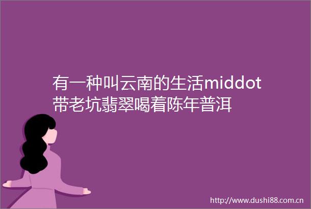 有一种叫云南的生活middot带老坑翡翠喝着陈年普洱