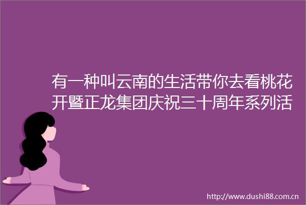 有一种叫云南的生活带你去看桃花开暨正龙集团庆祝三十周年系列活动启动