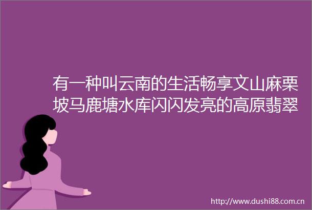 有一种叫云南的生活畅享文山麻栗坡马鹿塘水库闪闪发亮的高原翡翠
