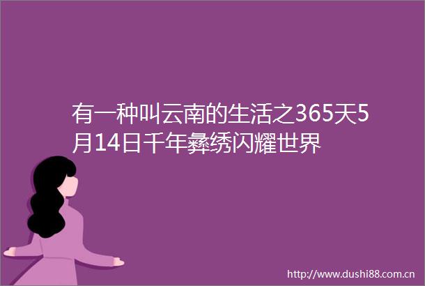 有一种叫云南的生活之365天5月14日千年彝绣闪耀世界