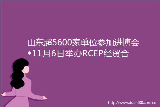 山东超5600家单位参加进博会◆11月6日举办RCEP经贸合作高层对话会◆开展丰富的人文交流活动