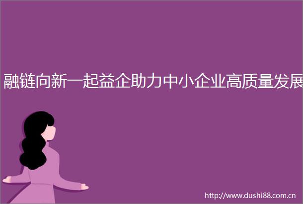 融链向新一起益企助力中小企业高质量发展