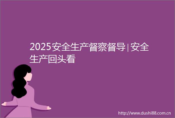 2025安全生产督察督导∣安全生产回头看
