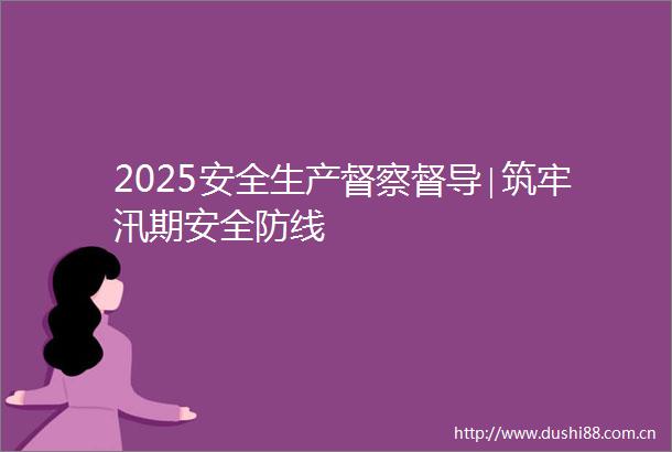 2025安全生产督察督导∣筑牢汛期安全防线