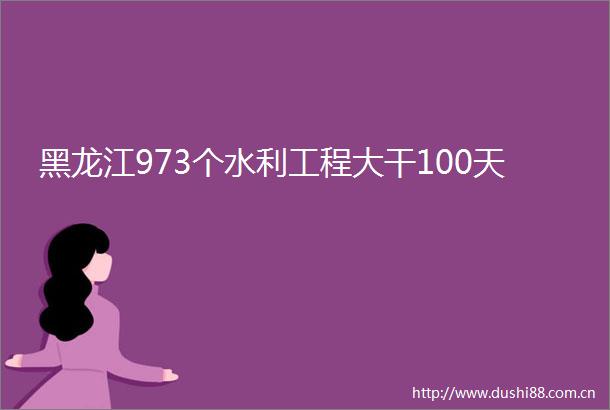 黑龙江973个水利工程大干100天