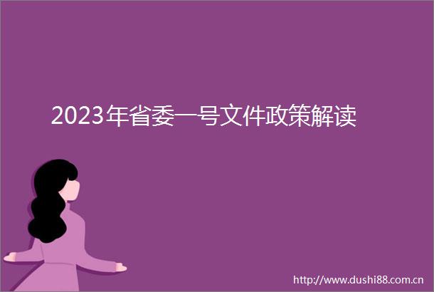 2023年省委一号文件政策解读
