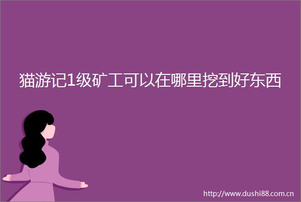 猫游记1级矿工可以在哪里挖到好东西