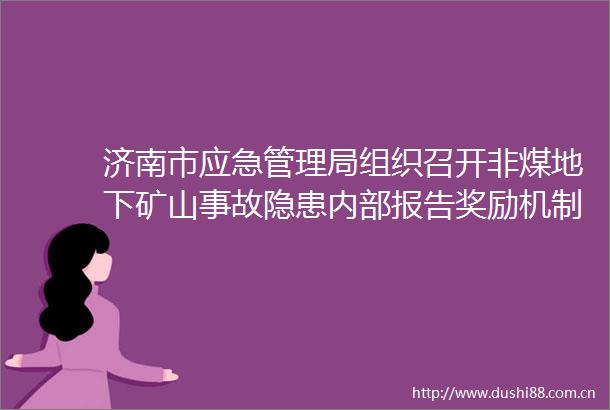 济南市应急管理局组织召开非煤地下矿山事故隐患内部报告奖励机制工作推进会