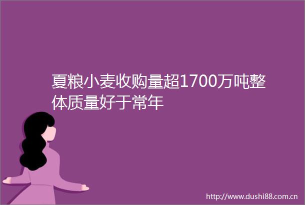 夏粮小麦收购量超1700万吨整体质量好于常年