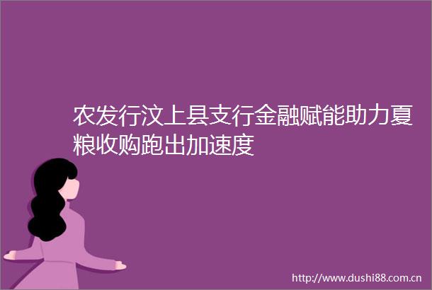农发行汶上县支行金融赋能助力夏粮收购跑出加速度