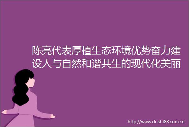 陈亮代表厚植生态环境优势奋力建设人与自然和谐共生的现代化美丽广西