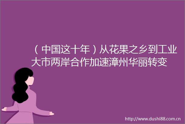 （这十年）从花果之乡到工业大市两岸合作加速漳州华丽转变