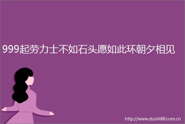 999起劳力士不如石头愿如此环朝夕相见