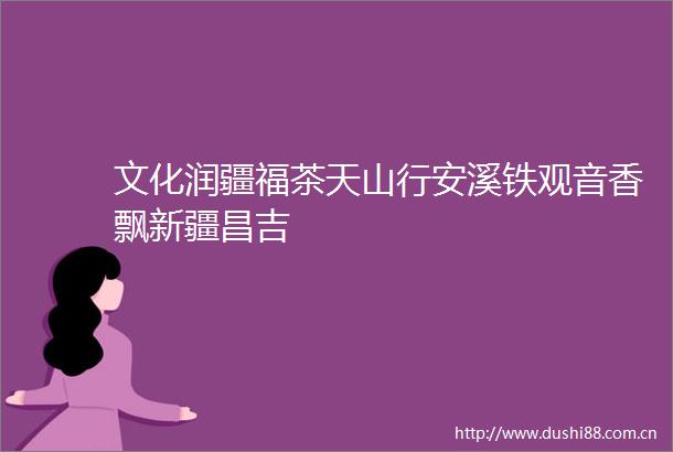 文化润疆福茶天山行安溪铁观音香飘新疆昌吉