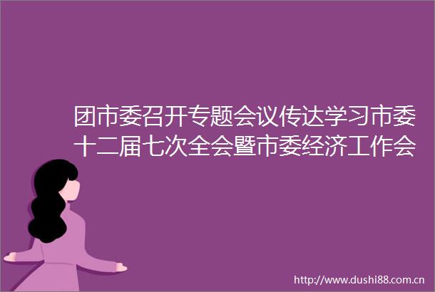 团市委召开专题会议传达学习市委十二届七次全会暨市委经济工作会议精神