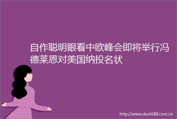 自作聪明眼看中欧峰会即将举行冯德莱恩对美国纳投名状