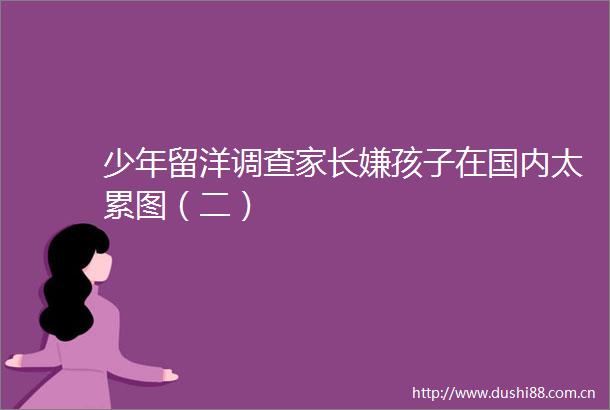 少年留洋调查家长嫌孩子在国内太累图（二）