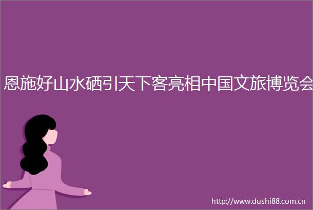 恩施好山水硒引天下客亮相文旅博览会