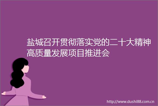盐城召开贯彻落实党的二十大精神高质量发展项目推进会