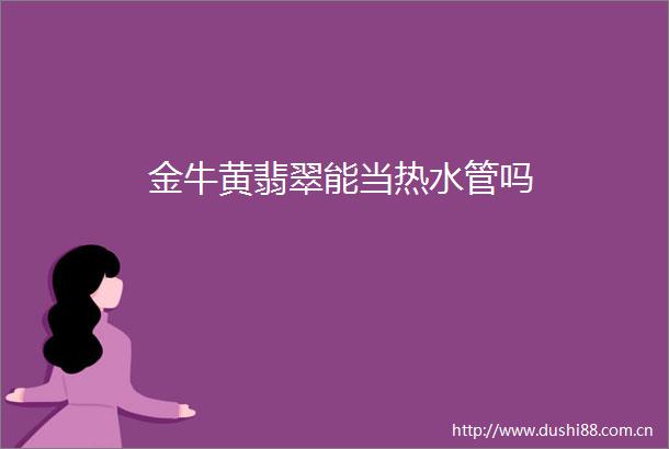 金牛黄翡翠能当热水管吗