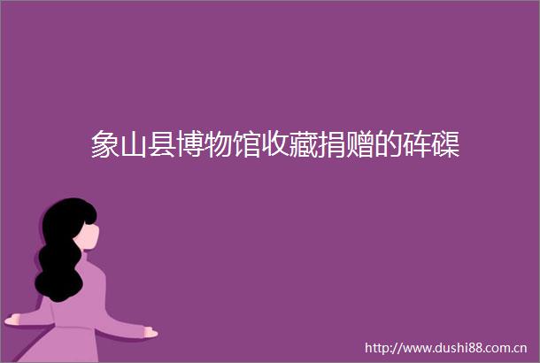 象山县博物馆收藏捐赠的砗磲