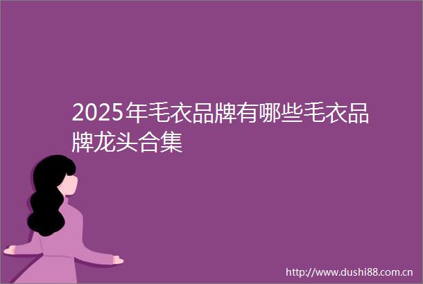 2025年毛衣品牌有哪些毛衣品牌龙头合集