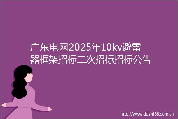 广东电网2025年10kv避雷器框架招标二次招标招标公告