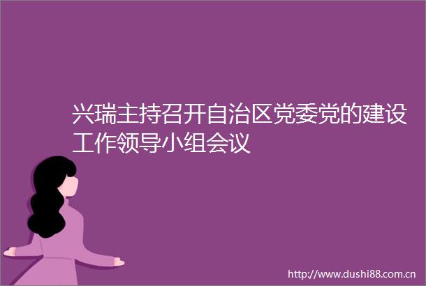 兴瑞主持召开自治区党委党的建设工作小组会议