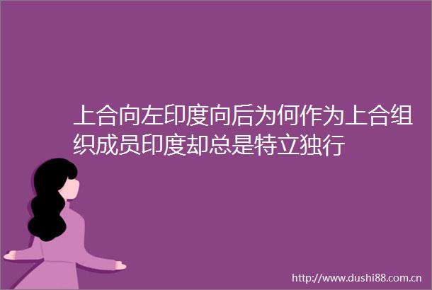 上合向左印度向后为何作为上合组织成员印度却总是特立独行
