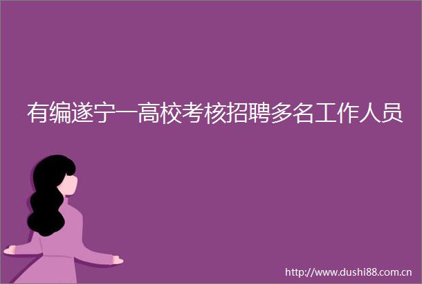 有编遂宁一高校考核招聘多名工作人员