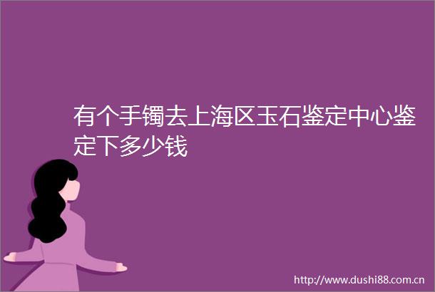 有个手镯去上海区玉石鉴定中心鉴定下多少钱
