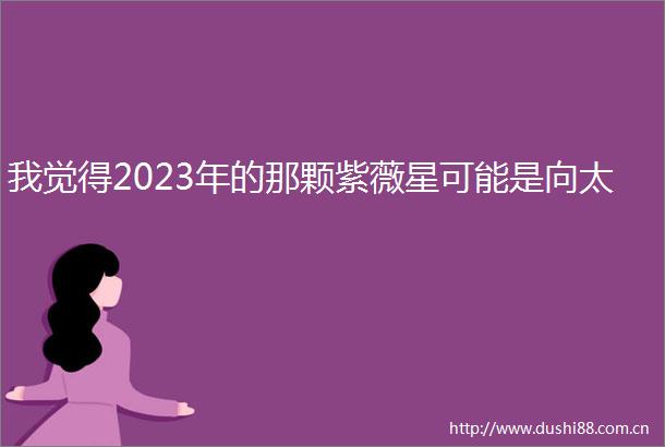我觉得2023年的那颗紫薇星可能是向太