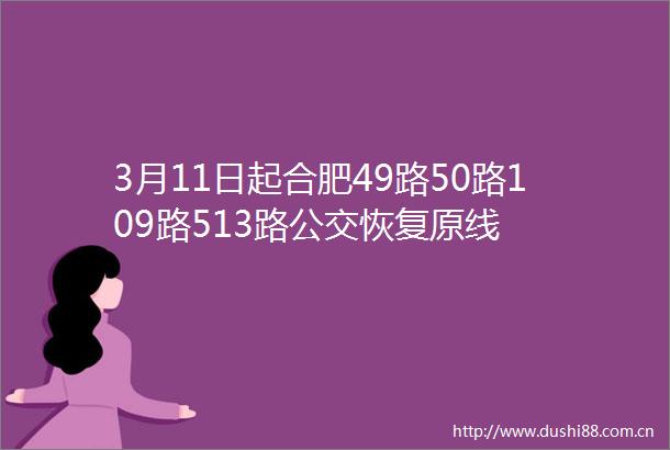 3月11日起合肥49路50路109路513路公交恢复原线