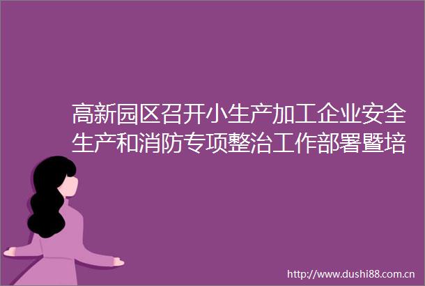 高新园区召开小生产加工企业安全生产和消防专项整治工作部署暨培训会