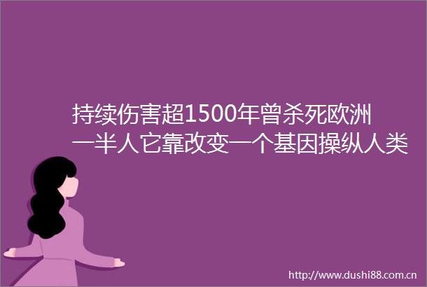 持续伤害超1500年曾杀死欧洲一半人它靠改变一个基因操纵人类命运