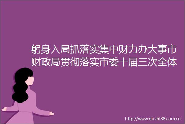 躬身入局抓落实集中财力办大事市财贯彻落实市委十届三次全体（扩大）会议暨市委经济工作会议精神