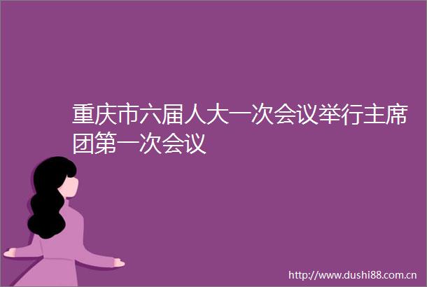 重庆市六届人大一次会议举行团第一次会议
