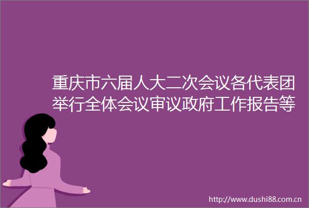 重庆市六届人大二次会议各代表团举行全体会议审议工作报告等