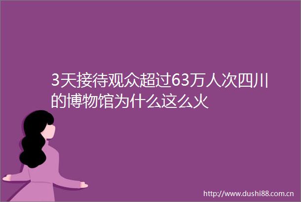 3天接待观众超过63万人次四川的博物馆为什么这么火