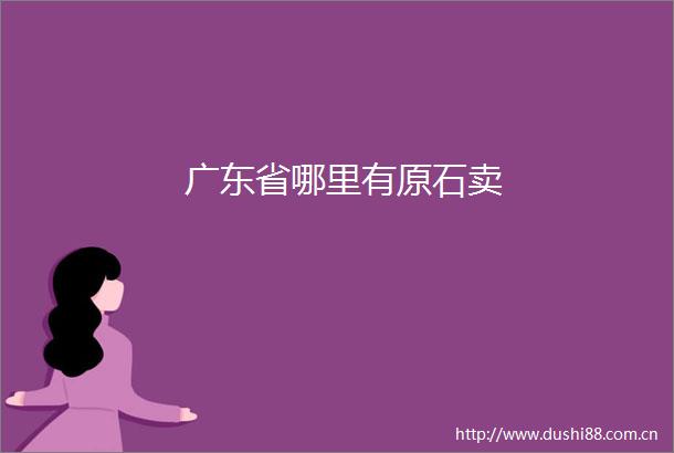 广东省哪里有原石卖