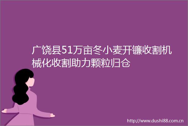 广饶县51万亩冬小麦开镰收割机械化收割助力颗粒归仓
