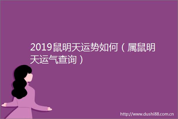 2019鼠明天运势如何（属鼠明天运气查询）