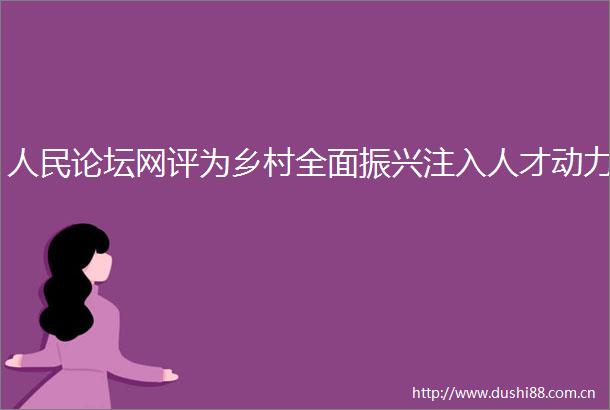 论坛网评为乡村全面振兴注入人才动力