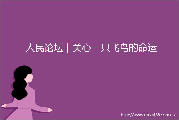 论坛｜关心一只飞鸟的命运