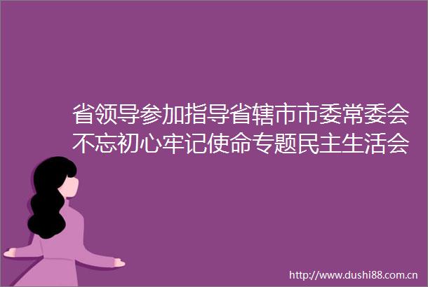 省参加指导省辖市市委常委会不忘初心牢记使命专题民主生活会