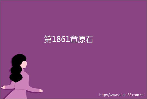 第1861章原石