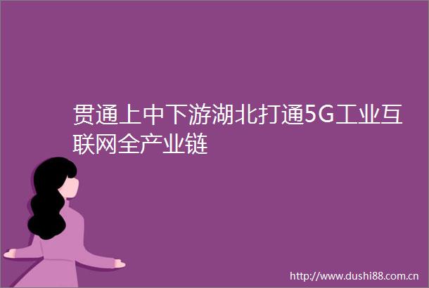 贯通上中下游湖北打通5G工业互联网全产业链