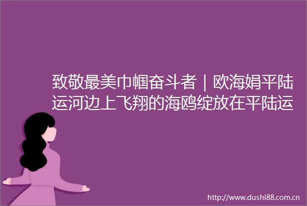 致敬最美巾帼奋斗者｜欧海娟平陆运河边上飞翔的海鸥绽放在平陆运河边上的铿锵玫瑰