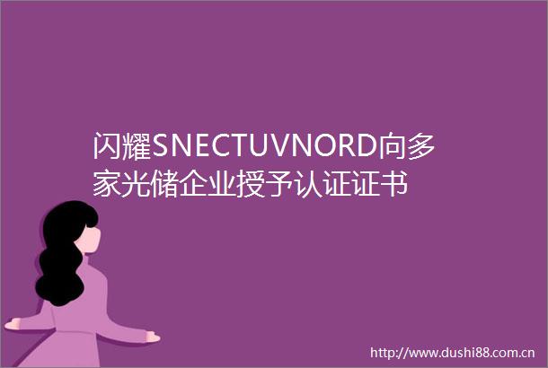 闪耀SNECTUVNORD向多家光储企业授予认证证书